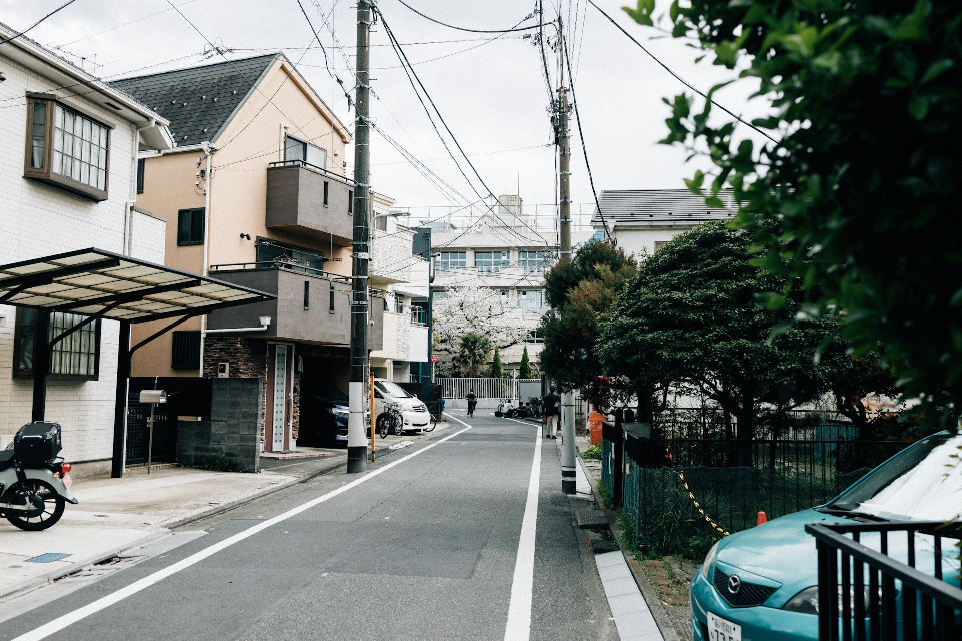櫻花季的日本住宅巷弄